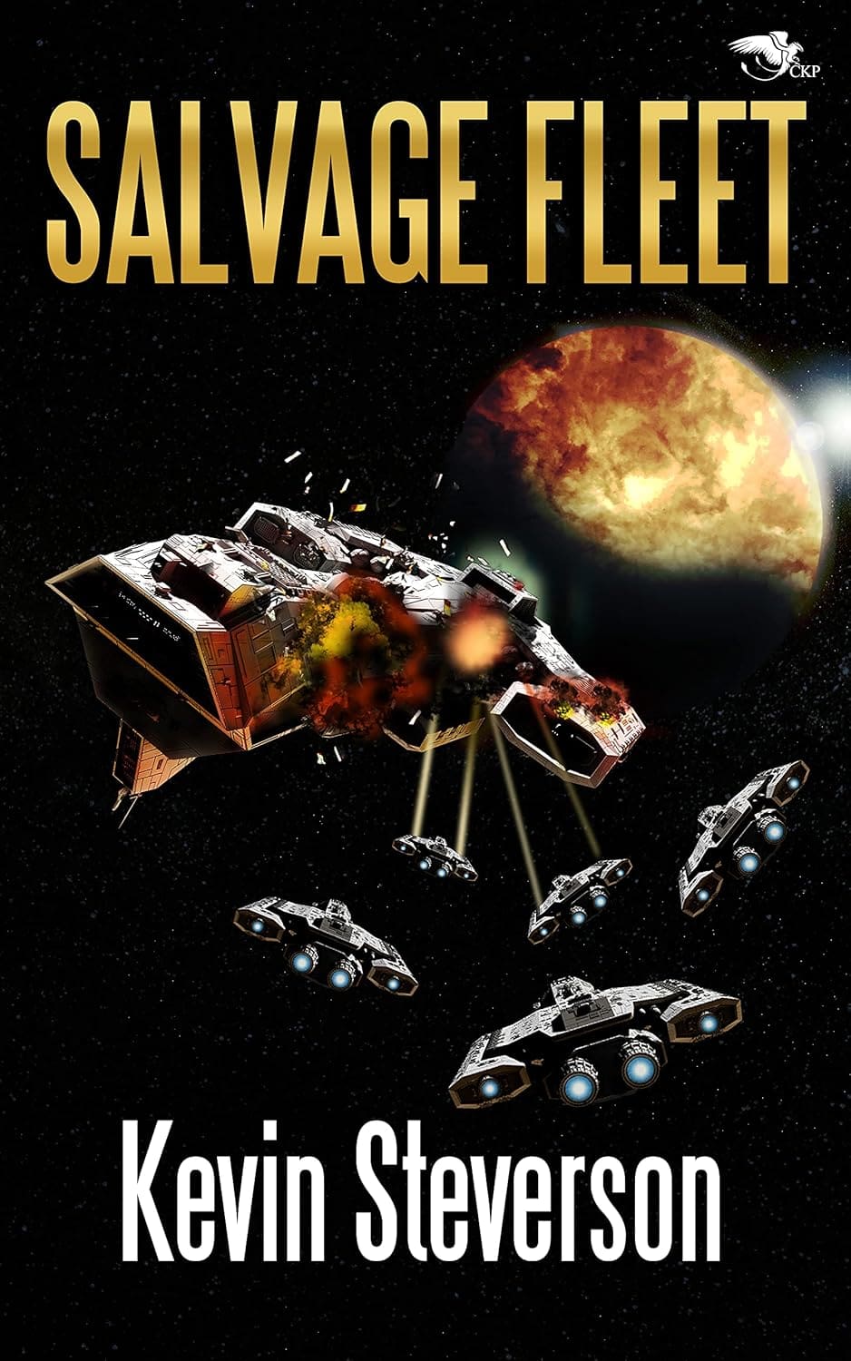 Salvage Fleet